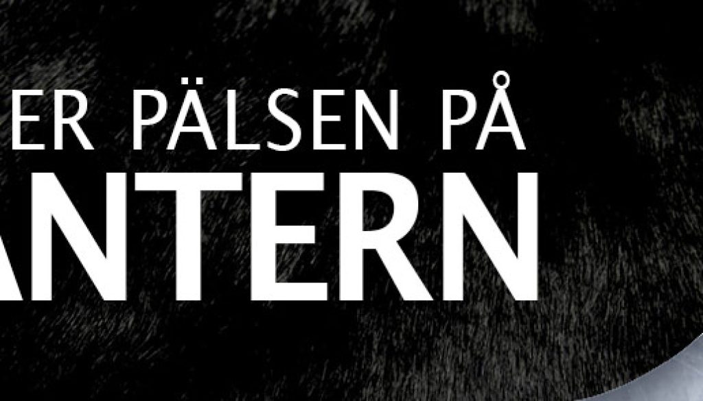 pantern_header