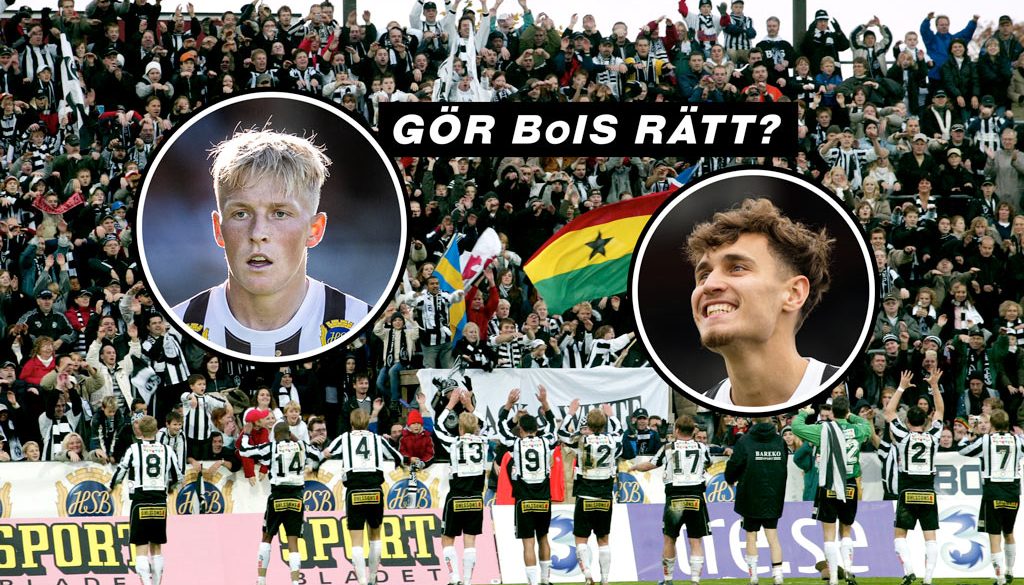 BoIS försäljningar