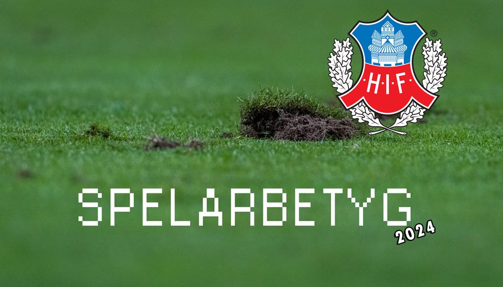 Spelarbetyg