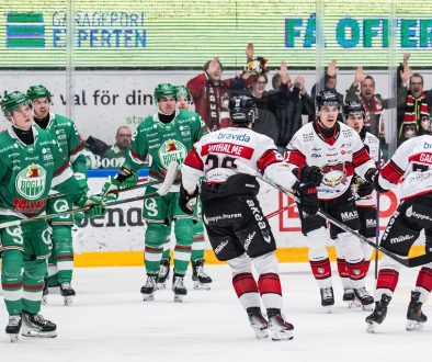 Ishockey, SHL, Åttondelsfinal 2, Rögle - Malmö Redhawks