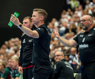 Handboll, Handbollsligan herr, Ystad IF - OV Helsingborg