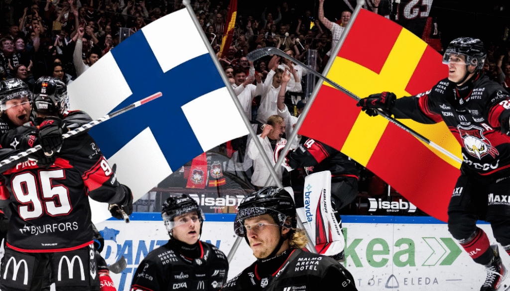 pajuniemikuokkanen