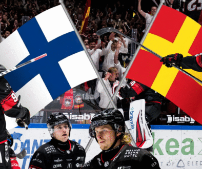 pajuniemikuokkanen