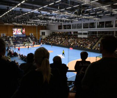 Handboll, Allsvenskan Herr, Lugi - H43 Lund Handboll, Allsvenskan Herr, Lugi - H43 Lund
