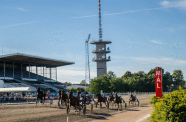 Sverige och Danmark i historiskt samarbete – lanserar Vision Öresund för framtidens travsport