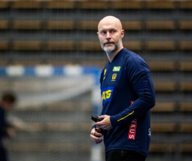 2025 IHF World Men's Handball Championship, day 2, Sweden, Training