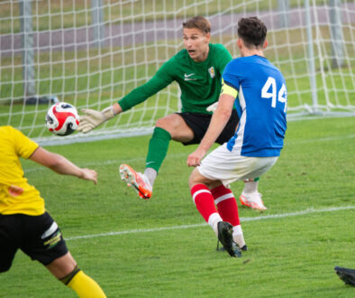 Fotboll, division 2, IFK Hässleholm - FBK Balkan