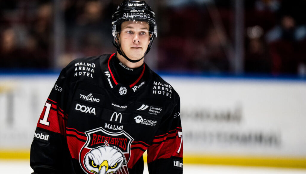 Ishockey, SHL, Malmö Redhawks - Leksand