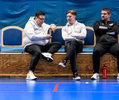 Handboll, Handbollsligan herr, OV Helsingborg - HK Malmö